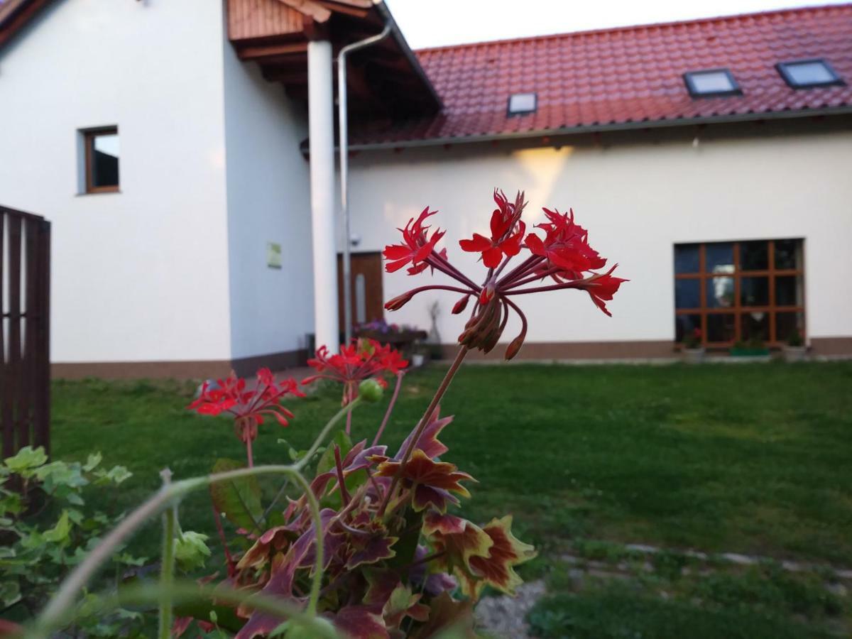 Agroturystyka Struzka Bronków Exteriér fotografie